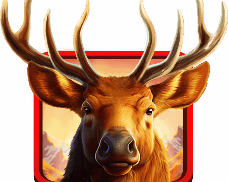Elk Hunter Slot Game Interface